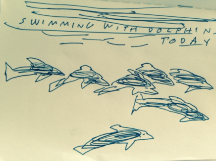 Free Diving with Dolphins 2016